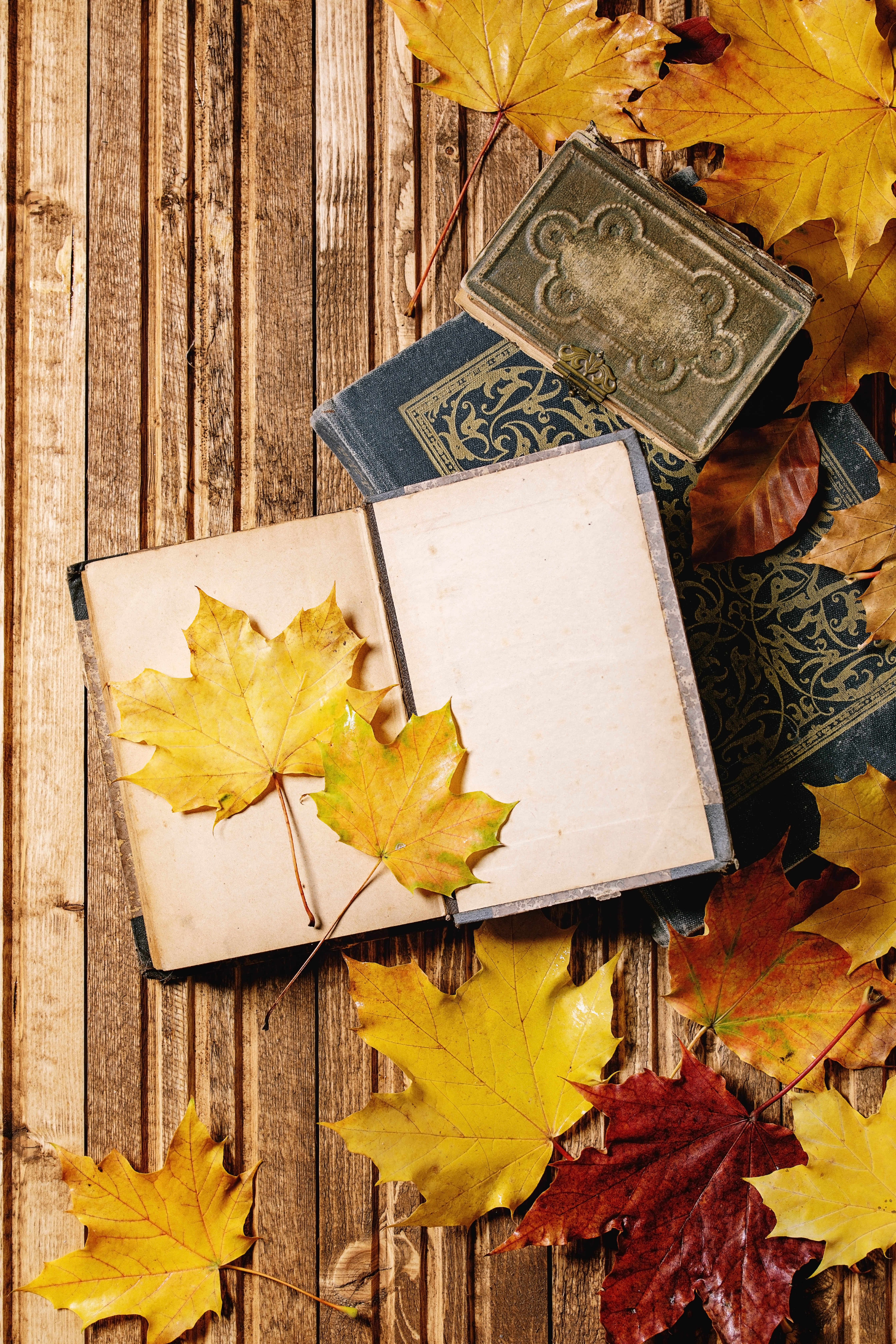 Memories Storybook